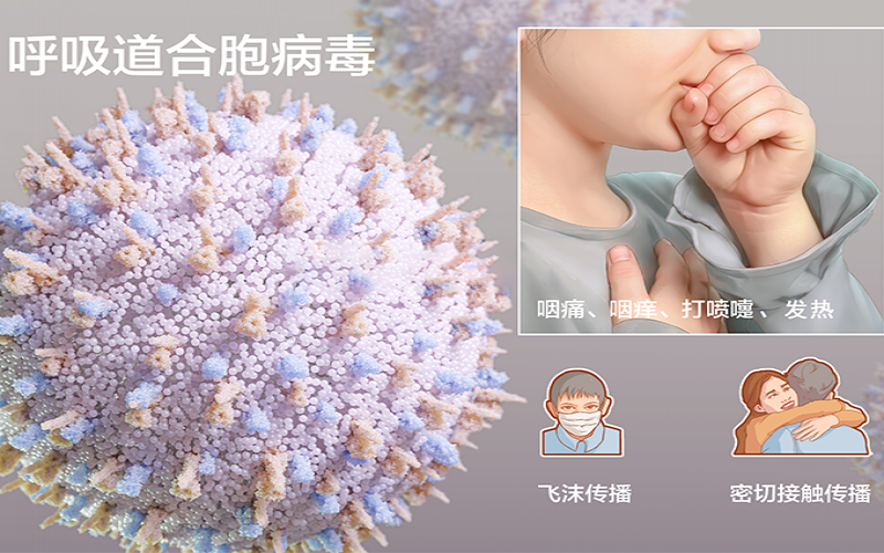 发热、鼻塞纷歧定是新冠，，，，，，小心人呼吸道合胞病毒熏染！